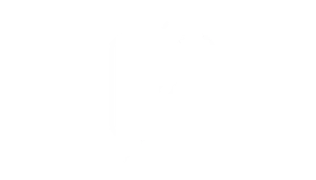 Leading Custom WordPress Development Agency